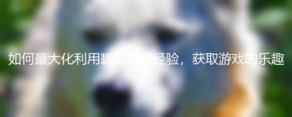 如何最大化利用碧蓝航线经验，获取游戏的乐趣