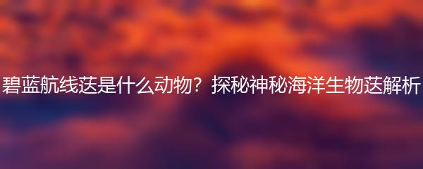 碧蓝航线荙是什么动物？探秘神秘海洋生物荙解析