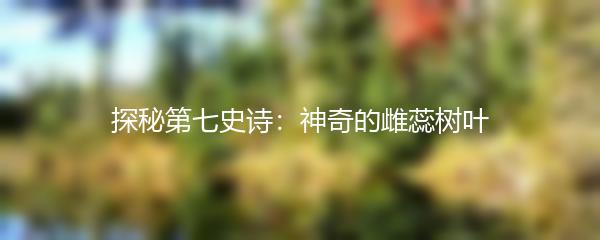 探秘第七史诗：神奇的雌蕊树叶