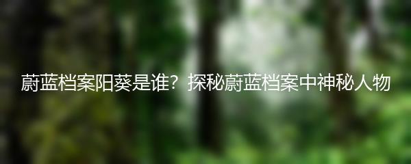 蔚蓝档案阳葵是谁？探秘蔚蓝档案中神秘人物