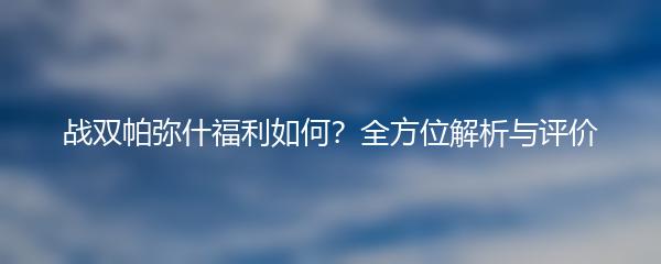 战双帕弥什福利如何？全方位解析与评价