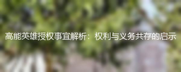 高能英雄授权事宜解析：权利与义务共存的启示