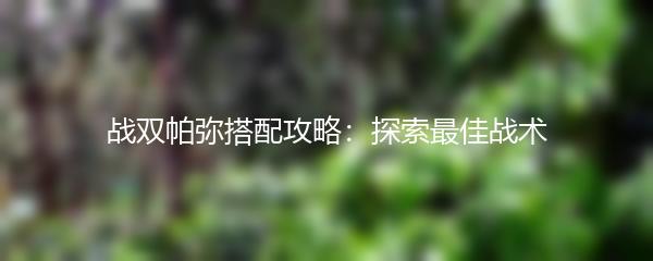 战双帕弥搭配攻略：探索最佳战术