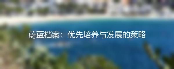 蔚蓝档案：优先培养与发展的策略