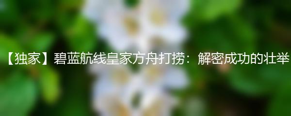 【独家】碧蓝航线皇家方舟打捞：解密成功的壮举