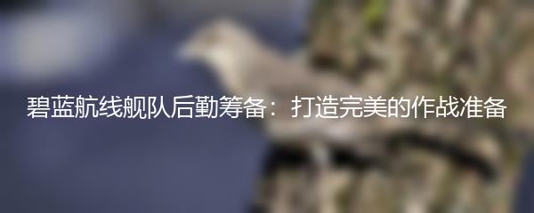 碧蓝航线舰队后勤筹备：打造完美的作战准备