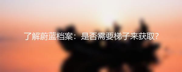 了解蔚蓝档案：是否需要梯子来获取？