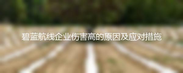 碧蓝航线企业伤害高的原因及应对措施