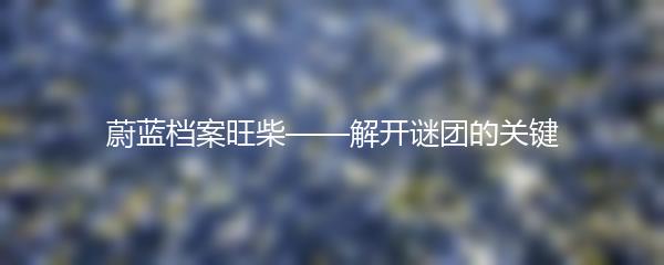 蔚蓝档案旺柴——解开谜团的关键