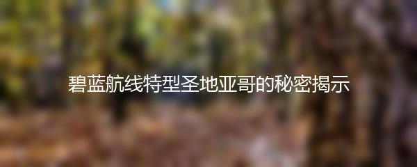 碧蓝航线特型圣地亚哥的秘密揭示