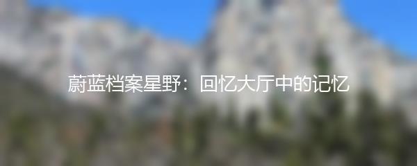 蔚蓝档案星野：回忆大厅中的记忆