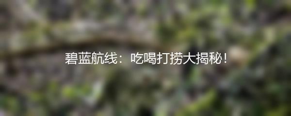 碧蓝航线：吃喝打捞大揭秘！