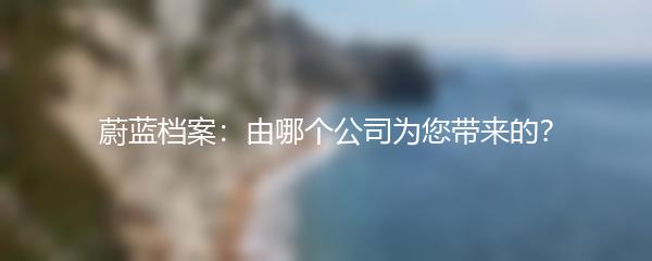 蔚蓝档案：由哪个公司为您带来的？