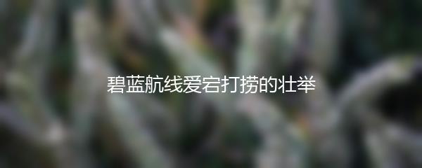 碧蓝航线爱宕打捞的壮举