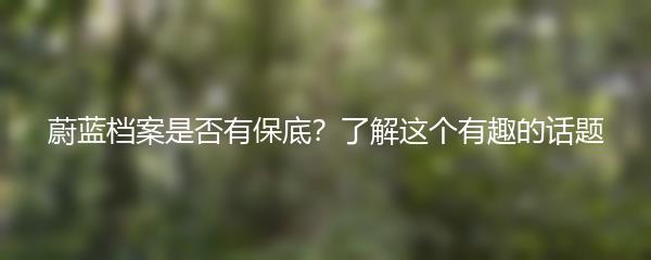 蔚蓝档案是否有保底？了解这个有趣的话题