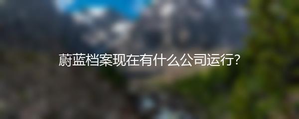 蔚蓝档案现在有什么公司运行？