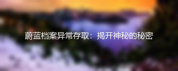 蔚蓝档案异常存取：揭开神秘的秘密