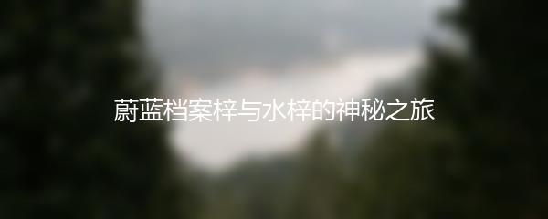 蔚蓝档案梓与水梓的神秘之旅