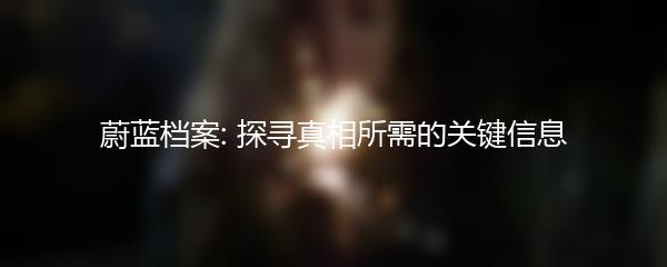 蔚蓝档案: 探寻真相所需的关键信息