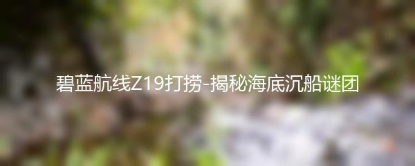 碧蓝航线Z19打捞-揭秘海底沉船谜团