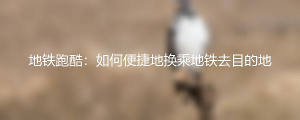 地铁跑酷：如何便捷地换乘地铁去目的地