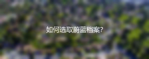 如何选取蔚蓝档案？