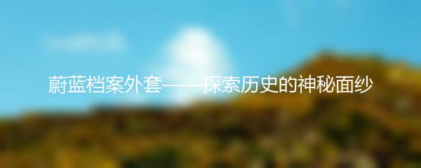 蔚蓝档案外套——探索历史的神秘面纱