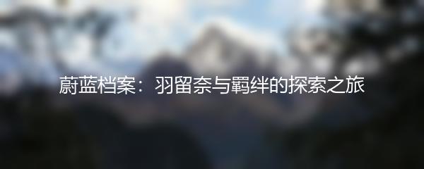 蔚蓝档案：羽留奈与羁绊的探索之旅