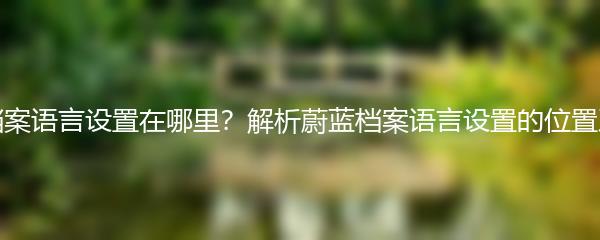 蔚蓝档案语言设置在哪里？解析蔚蓝档案语言设置的位置及作用