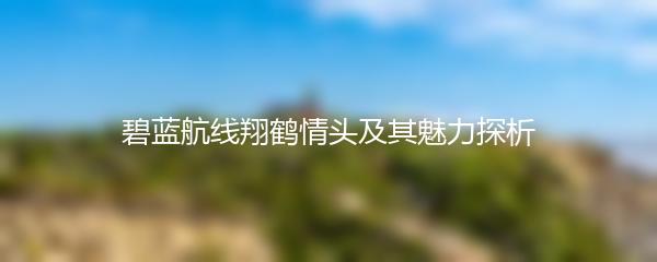 碧蓝航线翔鹤情头及其魅力探析