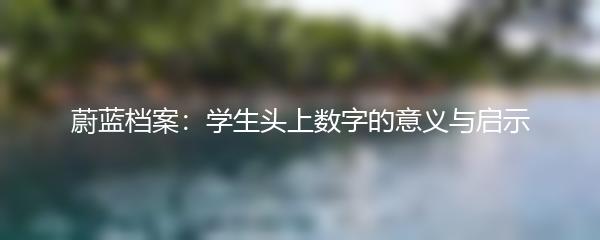 蔚蓝档案：学生头上数字的意义与启示