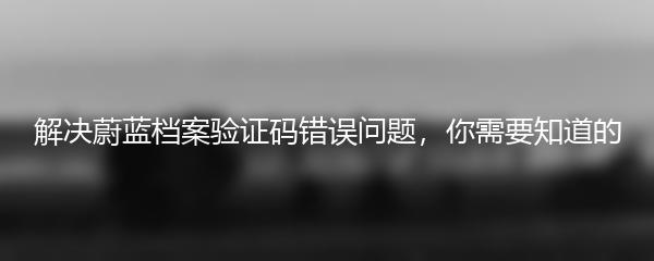 解决蔚蓝档案验证码错误问题，你需要知道的