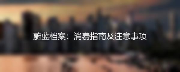 蔚蓝档案：消费指南及注意事项