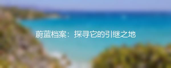 蔚蓝档案：探寻它的引继之地