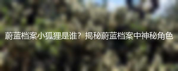 蔚蓝档案小狐狸是谁？揭秘蔚蓝档案中神秘角色