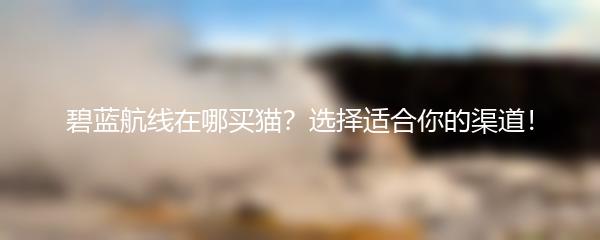碧蓝航线在哪买猫？选择适合你的渠道！