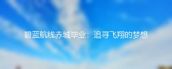 碧蓝航线赤城毕业：追寻飞翔的梦想