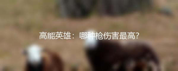 高能英雄：哪种枪伤害最高？