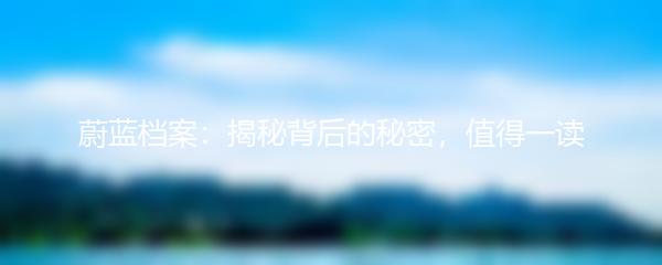 蔚蓝档案：揭秘背后的秘密，值得一读