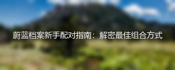 蔚蓝档案新手配对指南：解密最佳组合方式