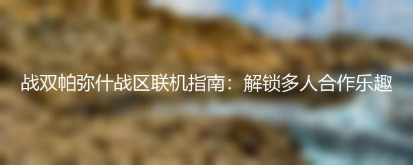 战双帕弥什战区联机指南：解锁多人合作乐趣