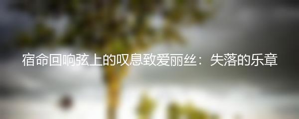 宿命回响弦上的叹息致爱丽丝：失落的乐章