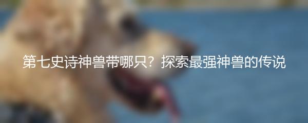 第七史诗神兽带哪只？探索最强神兽的传说