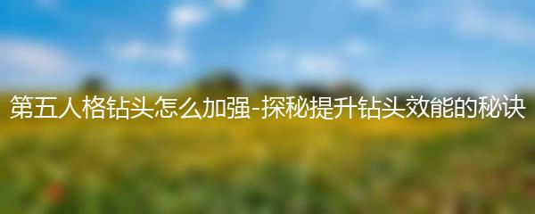 第五人格钻头怎么加强-探秘提升钻头效能的秘诀