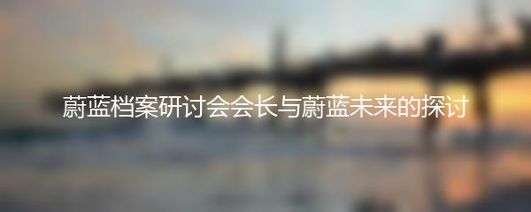 蔚蓝档案研讨会会长与蔚蓝未来的探讨