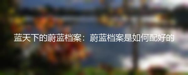 蓝天下的蔚蓝档案：蔚蓝档案是如何配好的