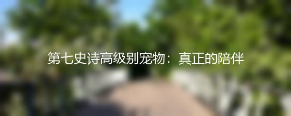 第七史诗高级别宠物：真正的陪伴