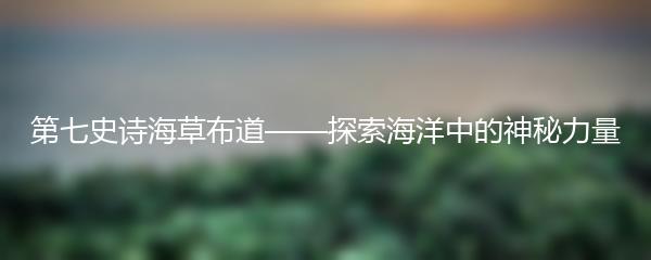 第七史诗海草布道——探索海洋中的神秘力量