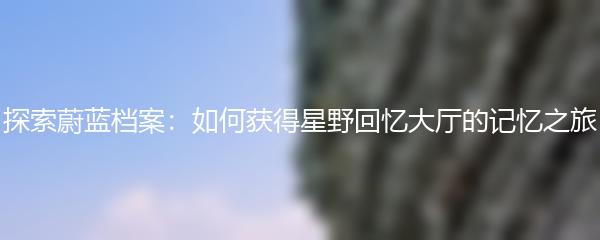 战双帕弥什如何自我战斗？