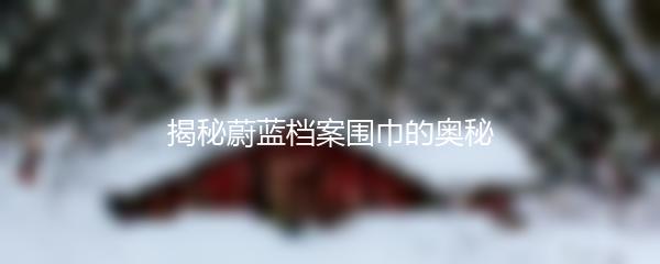 揭秘蔚蓝档案围巾的奥秘